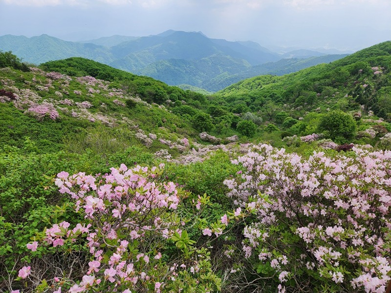 산에가요! 썸네일