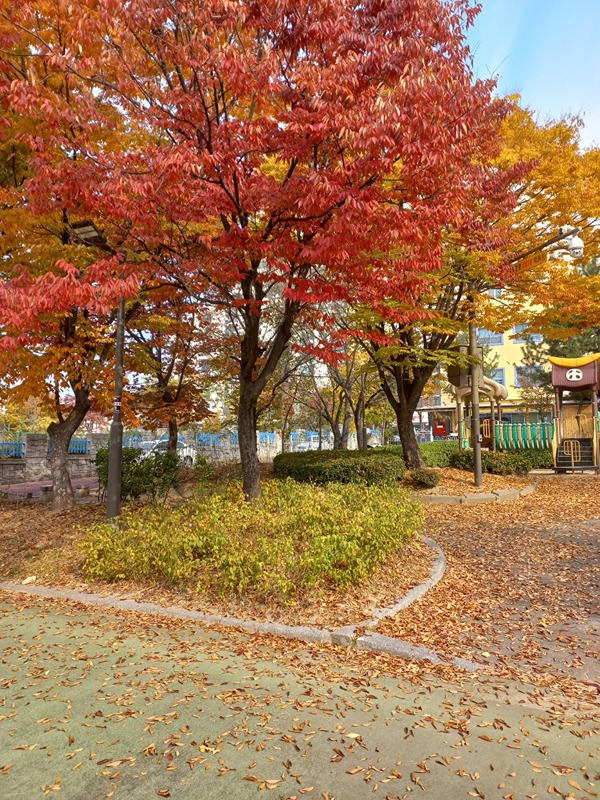 일당&부업 공유 썸네일