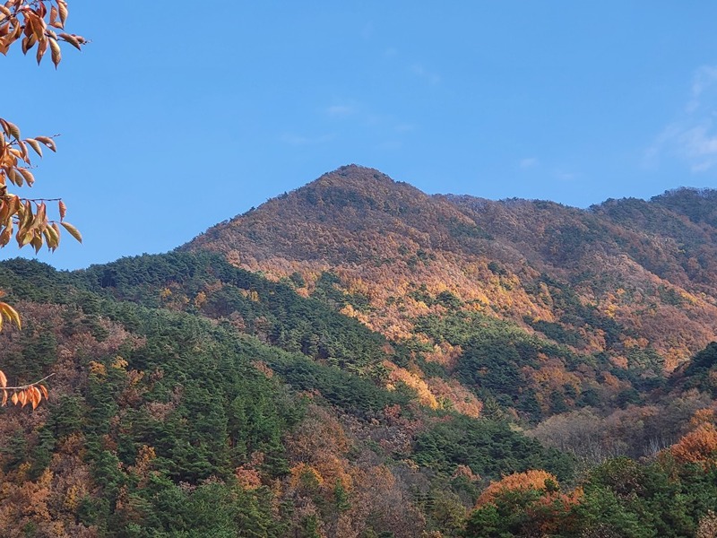 동네 등산러들 모임 썸네일