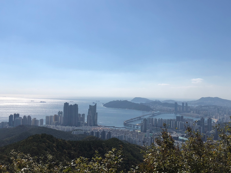 내향살롱_장산정상_304050_여 썸네일