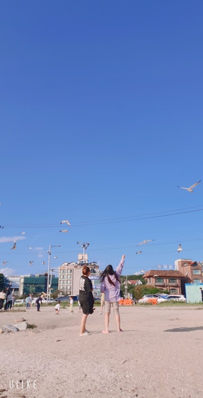 친필(친구가필요한육아중인엄마들~~~~) 썸네일