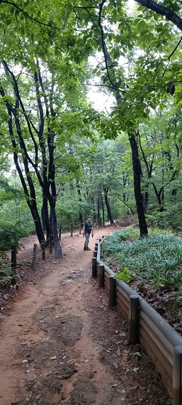 봉제산 걷기 썸네일