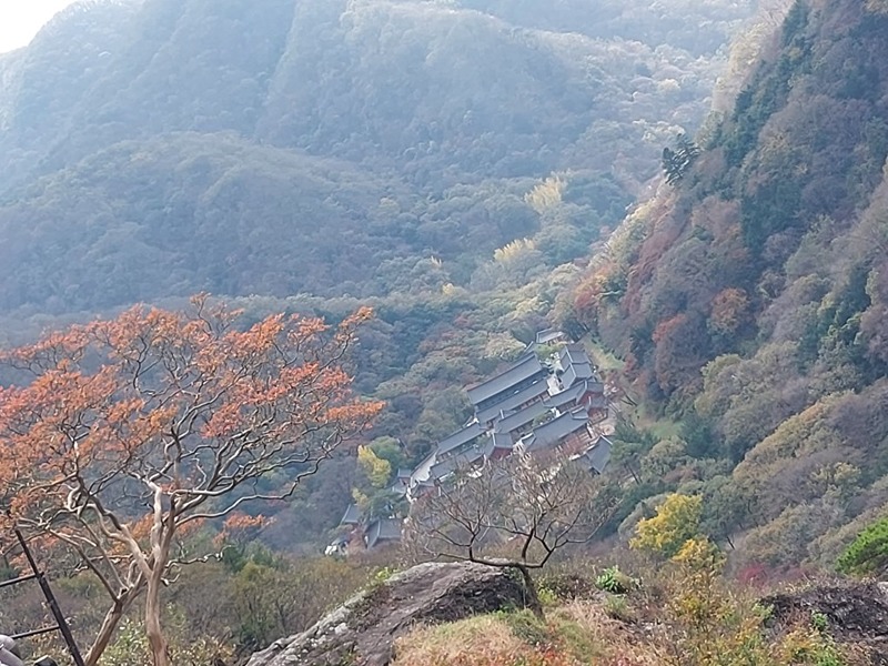 캠핑산악회 썸네일