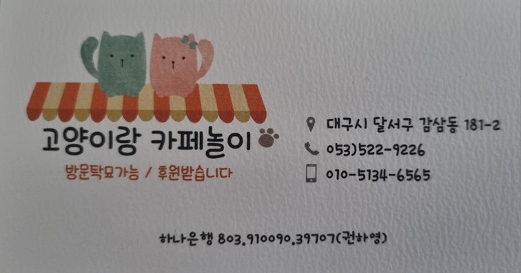 고양이랑 카페놀이 썸네일