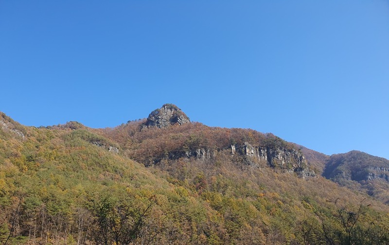 어쩌다 산행