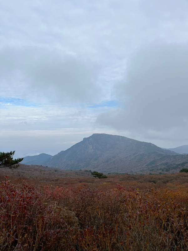 대구 근교 카페투어 모임!! 썸네일