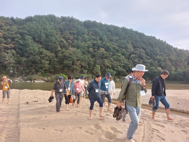 무섬마을 은빛모래밭 맨발걷기