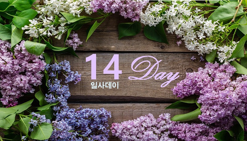 매월14일만나요-일사데이 썸네일