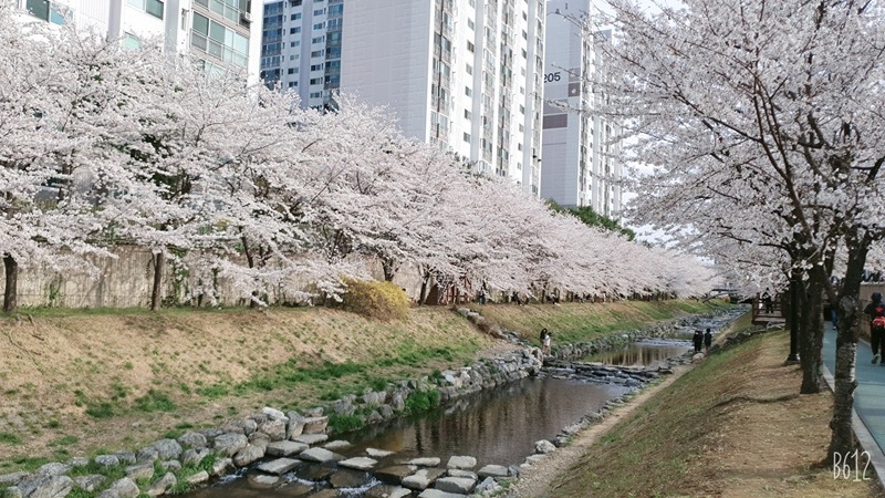 외로운 사람들 고민상담 및 해소하기 썸네일