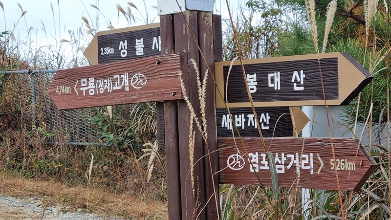 울산 북구 근교 산 올라보기 썸네일