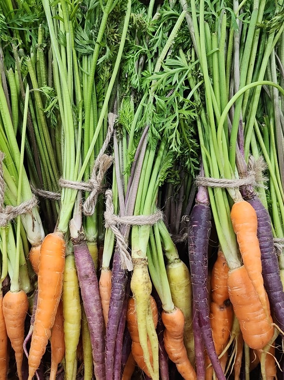"🌱풀파티" VEGAN 채식 지구 환경 썸네일