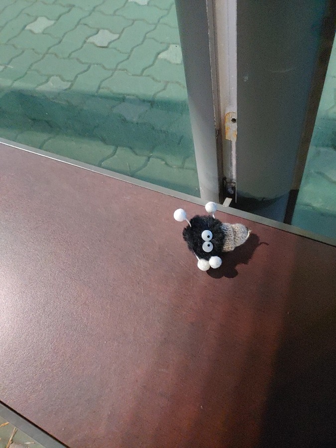 귀여운 인형 잃어버리신 분 썸네일