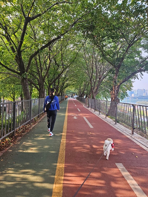 AM7.성수_미라클러닝 썸네일