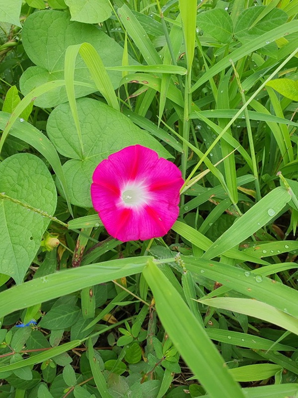 대구 4050 마음챙김 대화방 썸네일