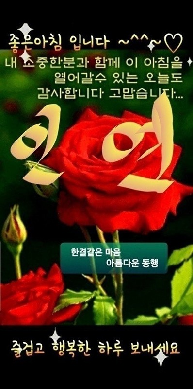 ❤️대구 동네친구 ❤️ 썸네일