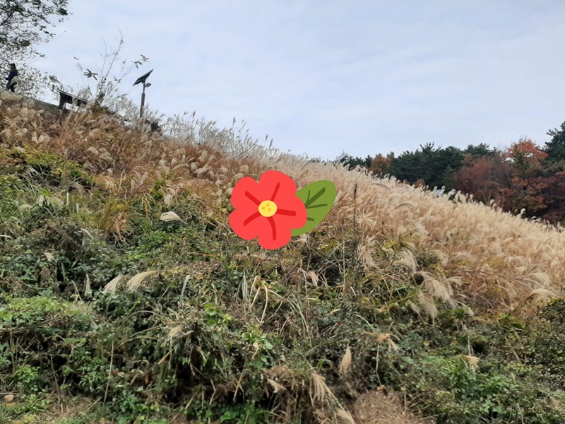 걷기 모임(사라 수변 공원) 썸네일