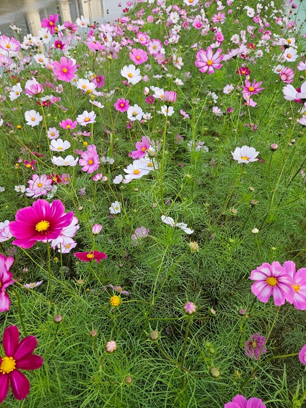 경매 임장 권리분석 썸네일