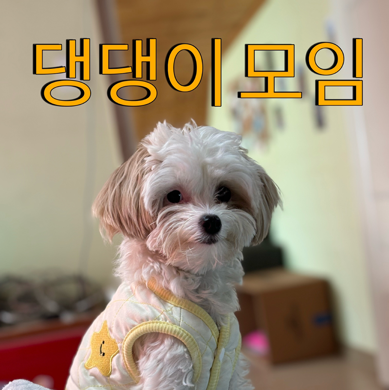 광명,철산,개봉 댕댕이 모임 썸네일