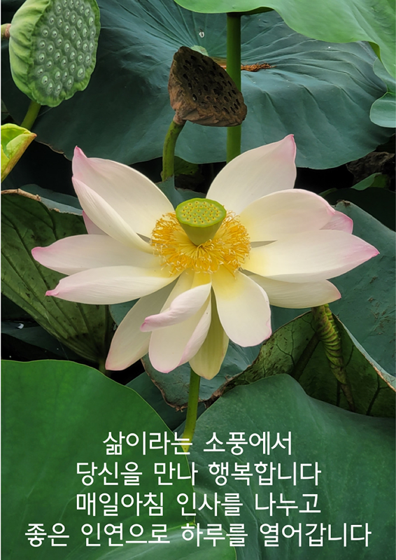 편사편술편캠(편한사람들과 술과캠핑) 썸네일