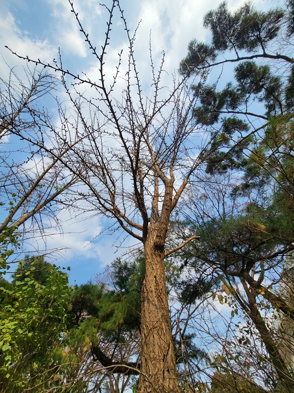 마음챙김 명상소모임