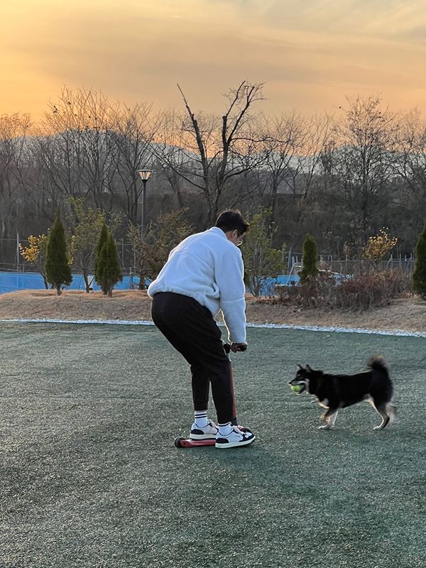 중형견 이상 산책, 애견카페 모임 썸네일