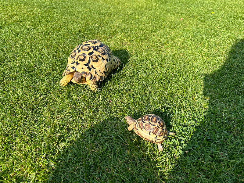 [순꼬모]순천 육지꼬북 모임 🐢