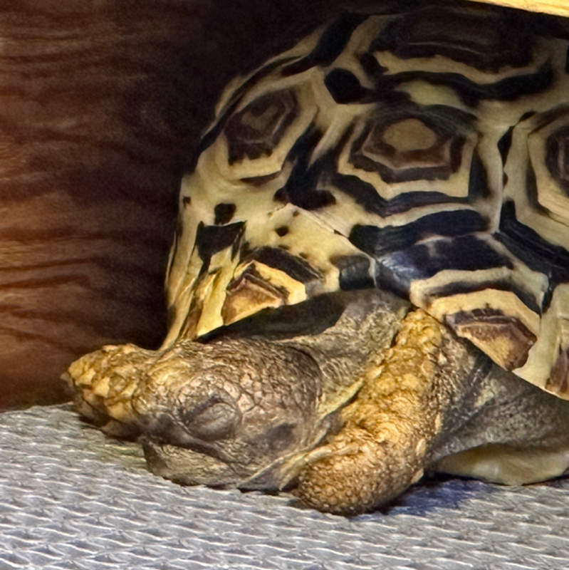 [순꼬모]순천 육지꼬북 모임 🐢 썸네일