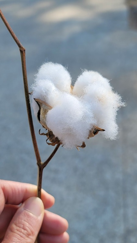 아이쇼핑 좋아하시는 분들 오세요 썸네일