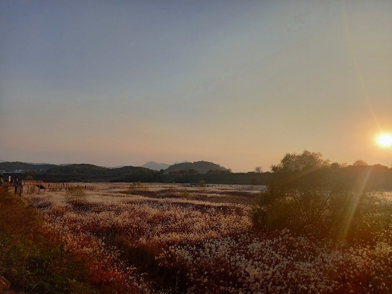 늦둥이 맘들모여요.(76-87년생) 썸네일