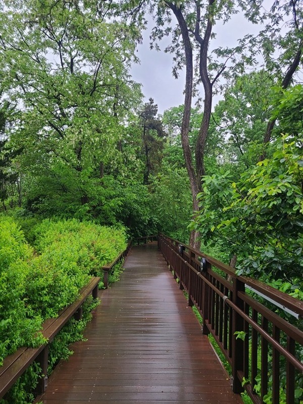 엘센트로주말산책(95-03)🚶‍♀️ 썸네일