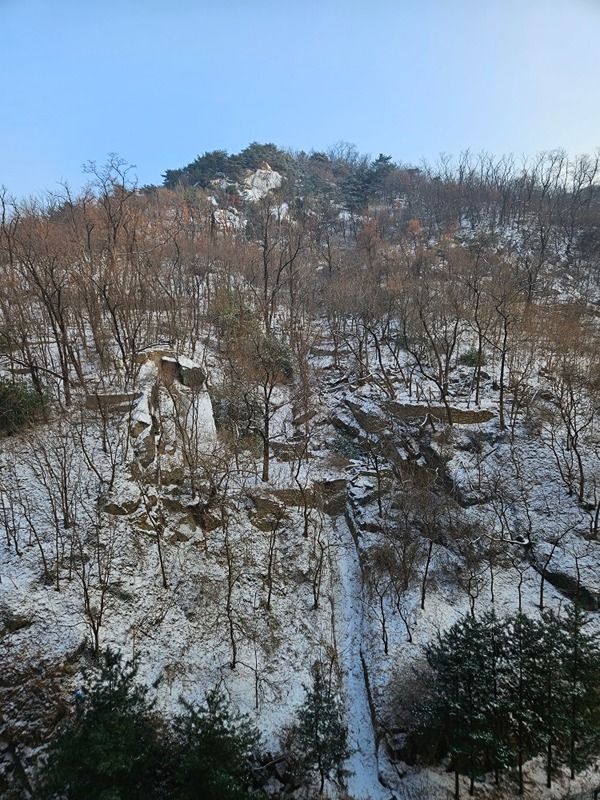 무엇이든 물어보살 썸네일