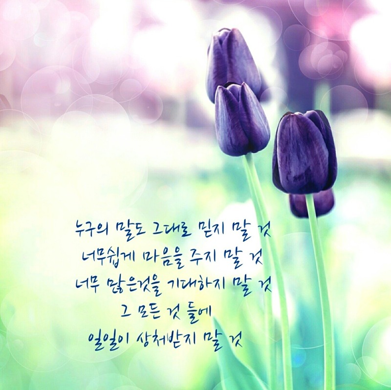 동네친구할까요 썸네일