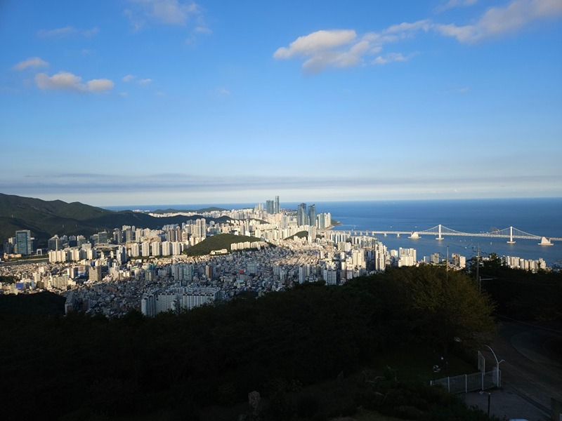 광안리사는 2030대 모임 썸네일