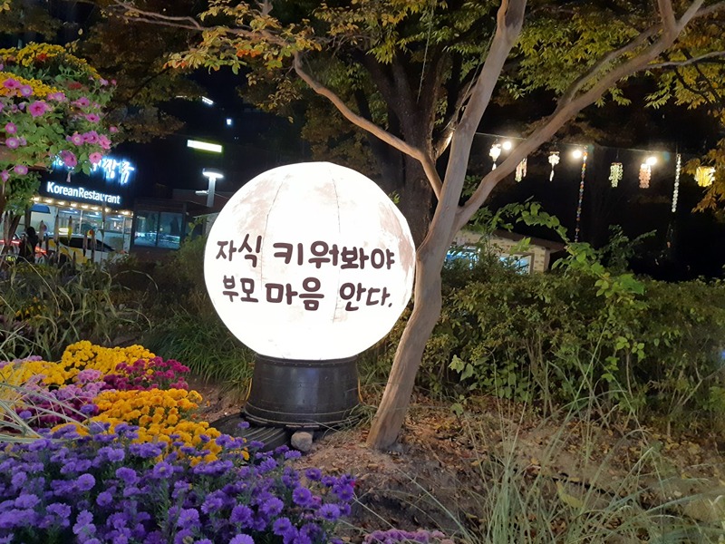 동해 50대 수다방 썸네일