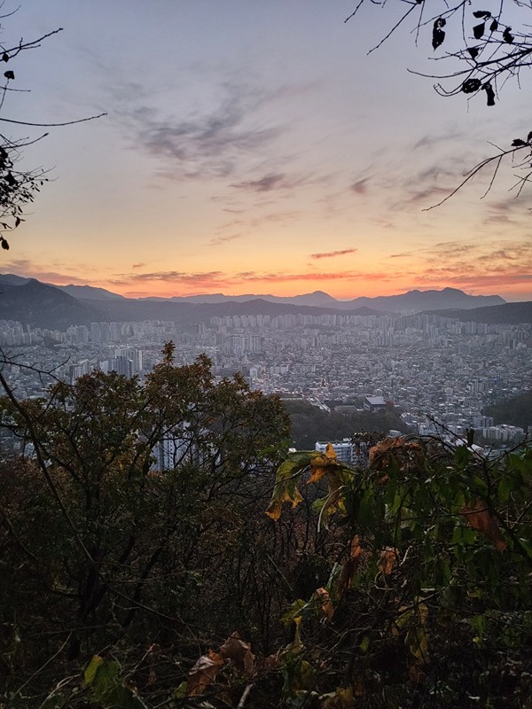 🌅  새벽 온라인(구글미트) 독서모임 🌅 썸네일