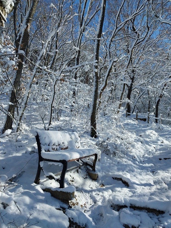 미륵산등반