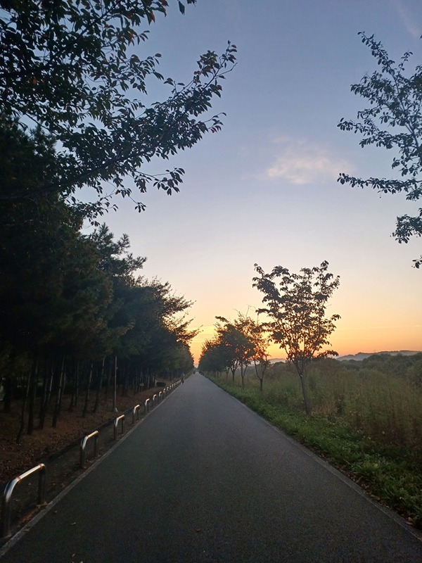 대구군인 3km달리기 특급 필요하신 분들 썸네일