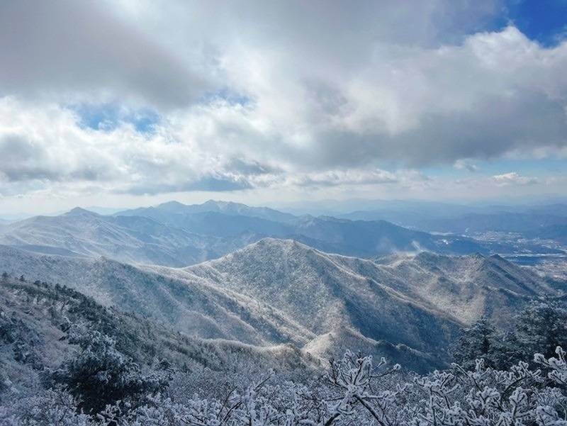 50~63 밥벙  커벙  술도 한잔  썸네일