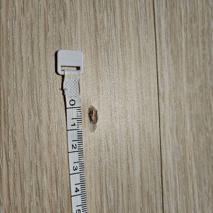 마루 패임 보수?교체? 문의  썸네일