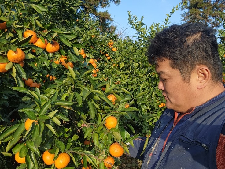 제주 농사꾼 모임 썸네일