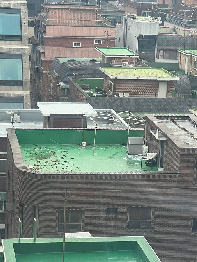 2달 동안 똥밭 옥상에서 죽어가고 있는 강아지 썸네일