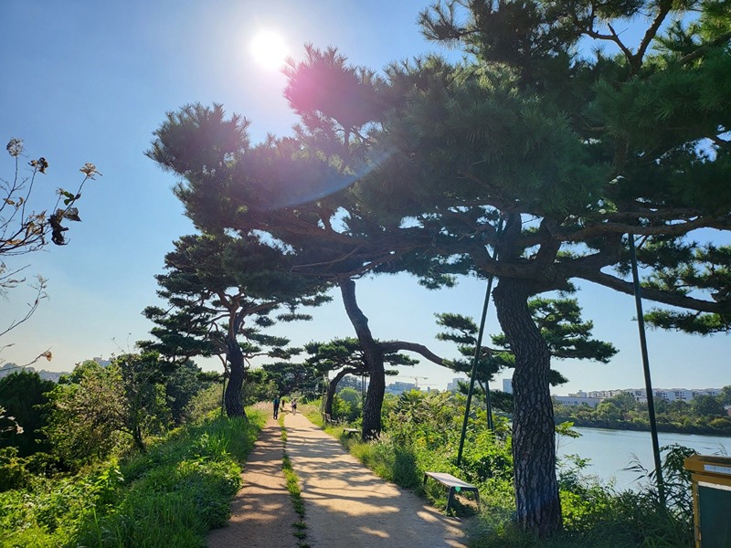 광교호수공원 같이 걸어요~