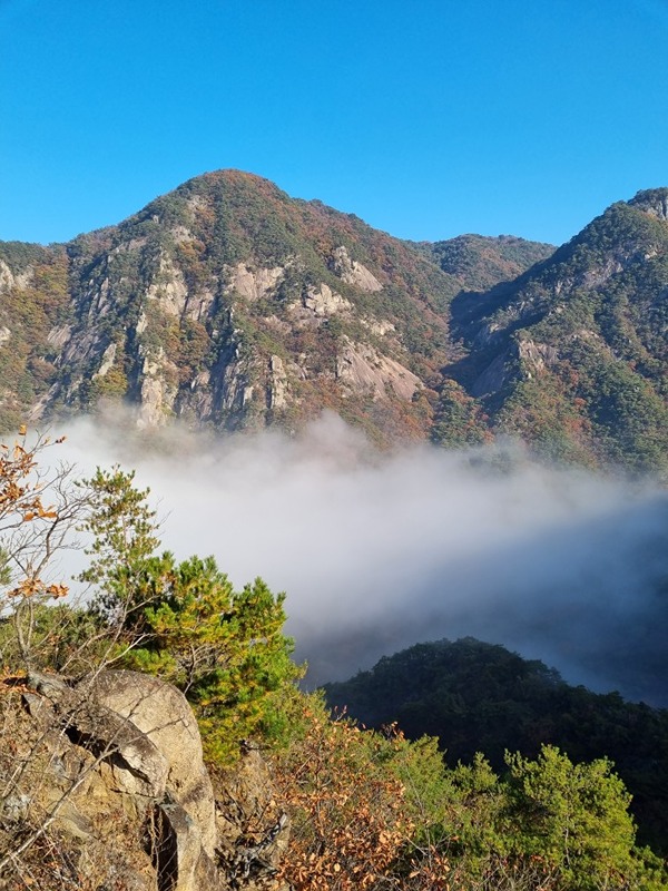 산이조아 썸네일