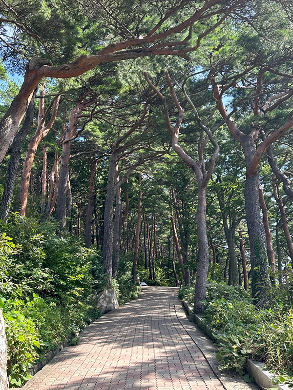 양주 댕댕이 산책모임🐾