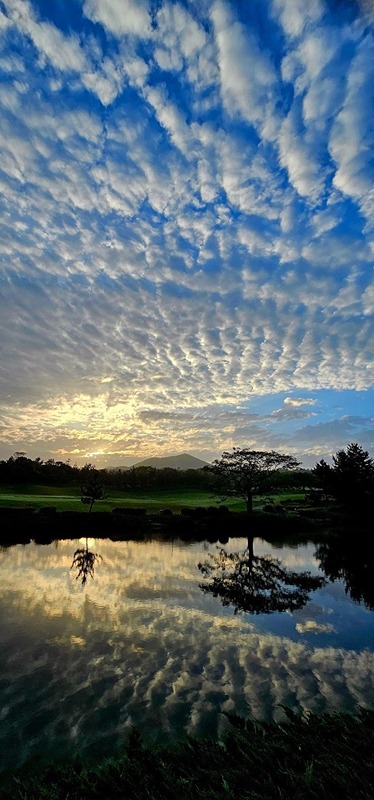  공 치는 공칠이⛳️