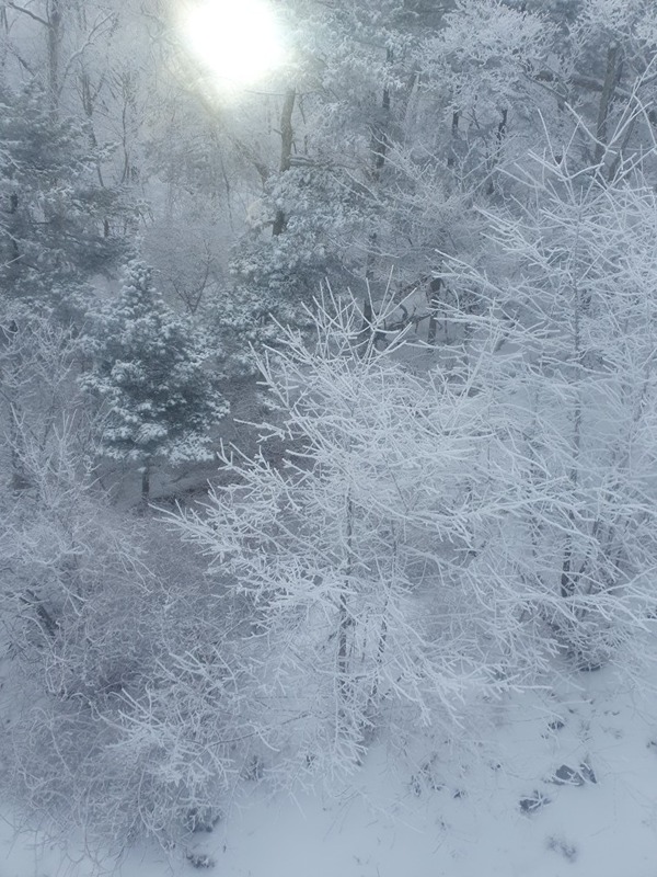 비발디파크 같이가요~!(스키ㆍ보드) 썸네일