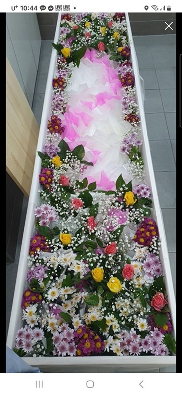 무료 장례 썸네일