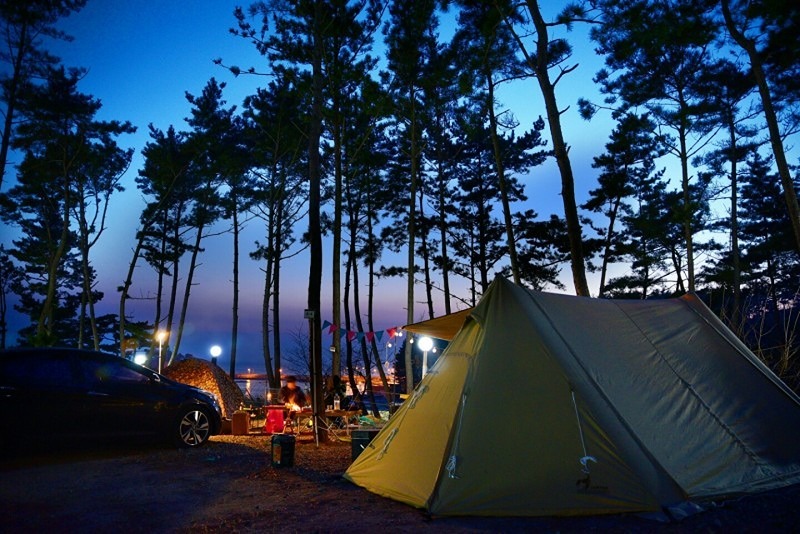 캠핑가는날🏕 썸네일