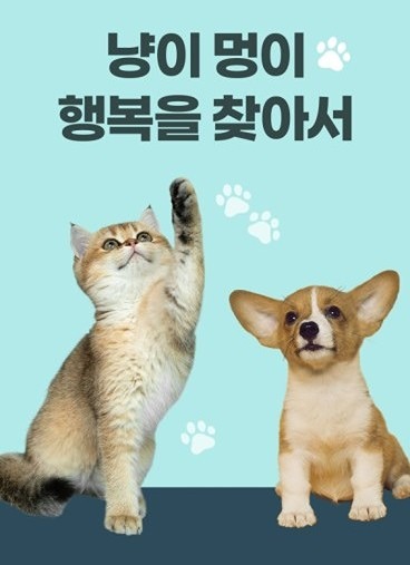 냥이 멍이 썸네일