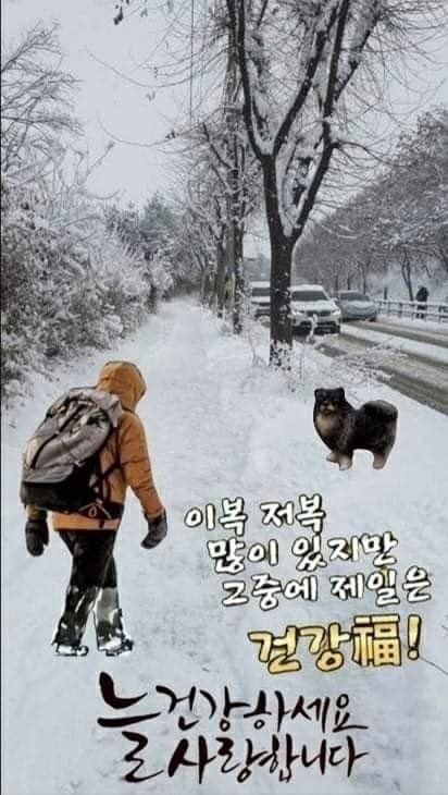 시집장가가고싶은분 썸네일